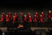 IMG 4201-vi