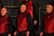 IMG 4219-vi