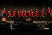 IMG 4223-vi